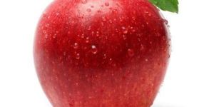 Fresh Apple
