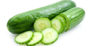 Fresh Cucumber