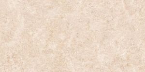 Empro Natural PGVT Tiles