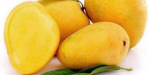 Fresh Mango
