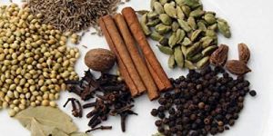 Organic Madras Garam Masala