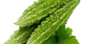 Fresh Bitter Gourd