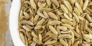 Fennel Seeds