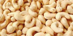 Cashew Kernel
