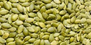 Pumpkin Seeds
