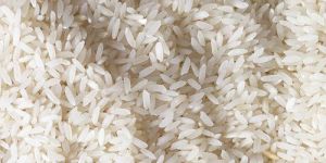 Parboiled Non Basmati Rice