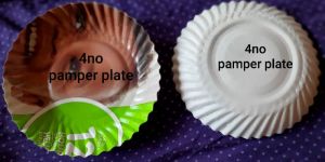 Disposable Paper Plates