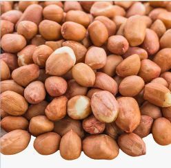 Groundnut Kernels