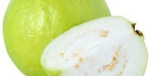 White Guava