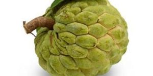 Fresh Custard Apple