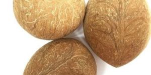 Coconut Copra