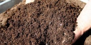 Natural Vermicompost
