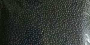 Mustard Seeds