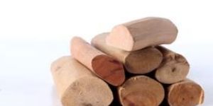 Forest Grade South Indian White Sandal Hardwood Logs