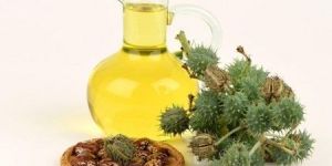 Refined Castor Oil