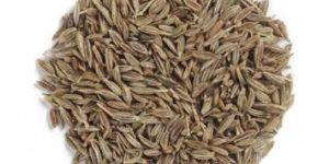 Cumin Seeds