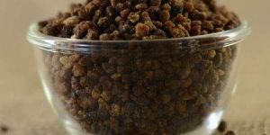Ginger Jaggery Granules