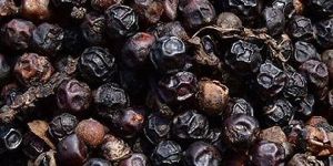Black Pepper