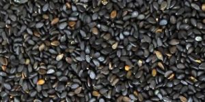 Black Sesame Seeds