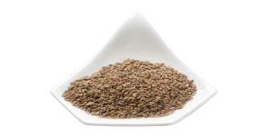 Carom Seeds