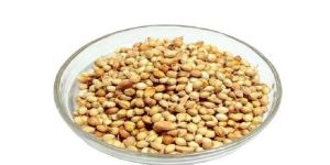 Coriander Seeds