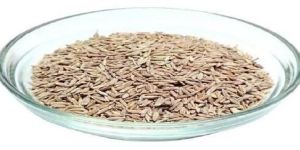 Cumin Seeds