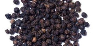 Black Pepper Seeds