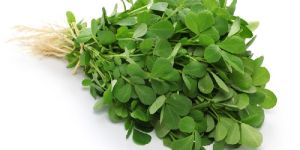 Frozen Fenugreek Leaves