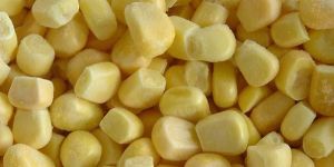 Frozen Sweet Corn