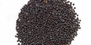 Black Mustard Seeds