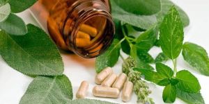 Fexmon Herbal Giloy Tablets