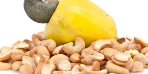 Fexmon Muscle Gain Special Nut Kaju