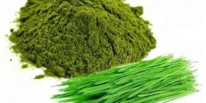 Fexmon Wheatgrass Powder