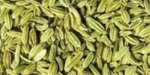 Fennel Seeds