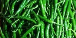 Fresh Green Chilli