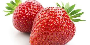 Fresh Strawberry