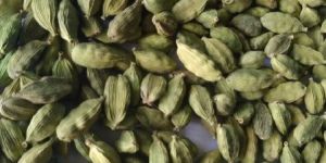 Green Cardamom
