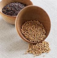 Mustard Seeds