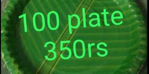 12 Inch Green Paper Plates