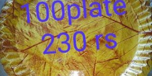 Disposable Color Paper Plate