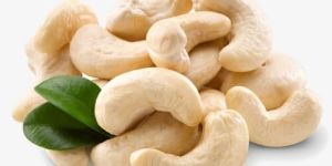 Cashew Nuts Kernels