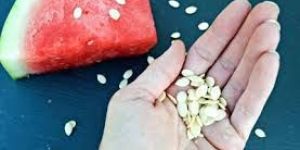 Water Melon Seeds