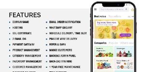 Ecommerce Web Design Services