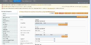 Ecommerce Support Services