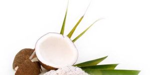Coconut Milk Powder
