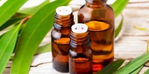 Eucalyptus Oil
