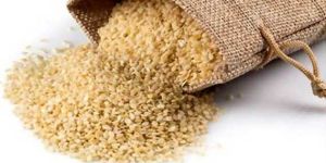 Sesame Seeds
