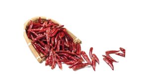Dried Guntur Red Chilli