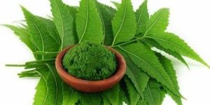 Neem Powder