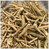 Ashwagandha Root